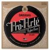 D'Addario EJ45 NT