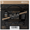 D'Addario EJ45 NT