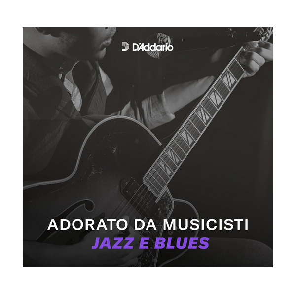 D'Addario 025 XL Chromes flat wound