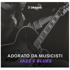 D'Addario 054 XL Chromes flat wound