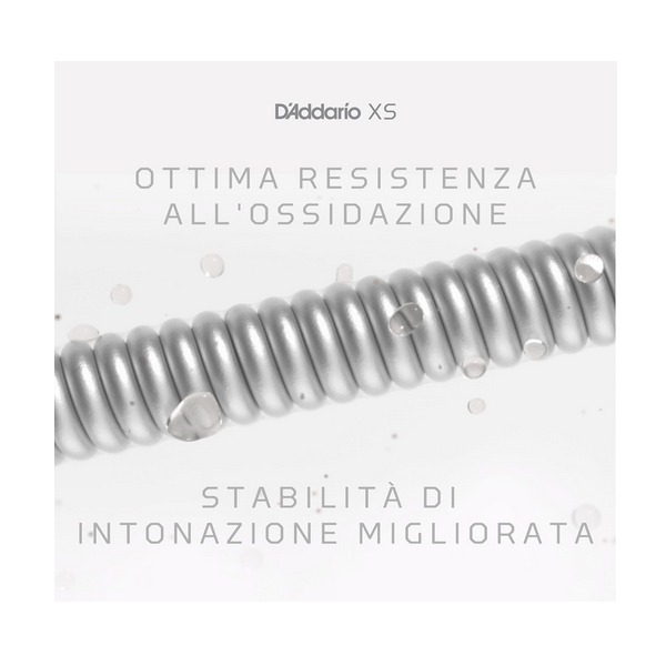 D'Addario 12/56 XS Phosphor Bronze coated