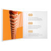 D'Addario 16/56 XS Phosphor Bronze coated resophonic