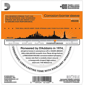 D'Addario 09/45 12 corde Phosphor Bronze