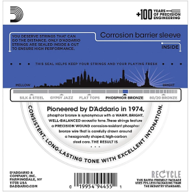D'Addario 12/54 12 corde Phosphor Bronze