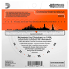 D'Addario 16/56 Phosphor Bronze resophonic