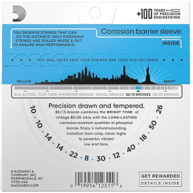 D'Addario 10/50 12 corde Bronze